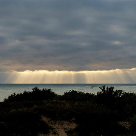 Hotel De La Petite Plage Saint-Georges-d'Oleron Dış mekan fotoğraf