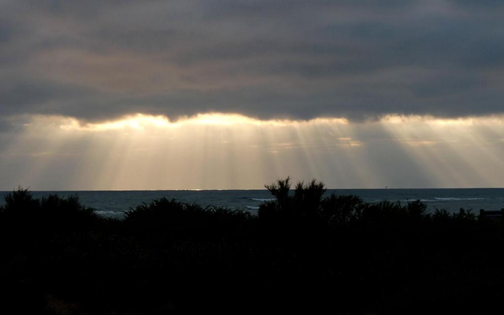 Hotel De La Petite Plage Saint-Georges-d'Oleron Dış mekan fotoğraf